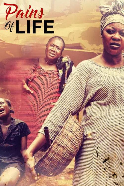 Pains Of Life 2017 official movie poster