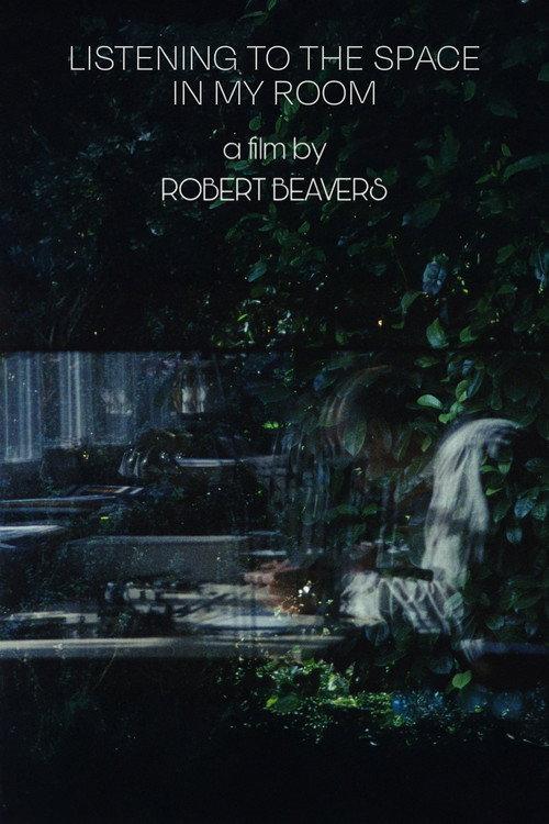 Listening to the Space in My Room 2013 official movie poster