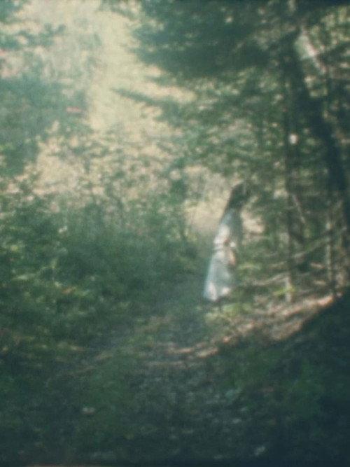 To the Forest 2026 official movie poster