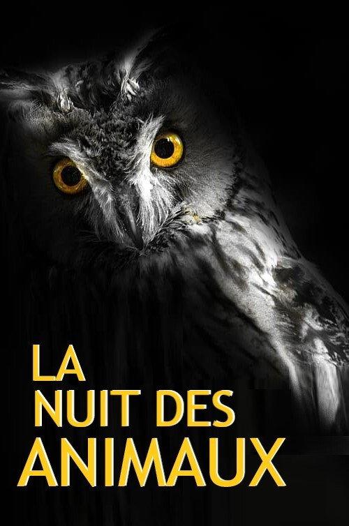 La Nuit des Animaux 2017 official movie poster