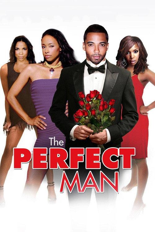 The Perfect Man 2011 official movie poster