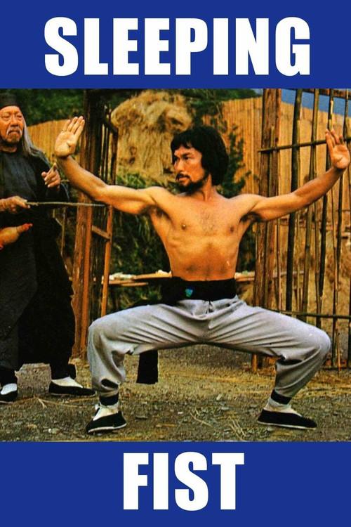 Sleeping Fist 1979 official movie poster