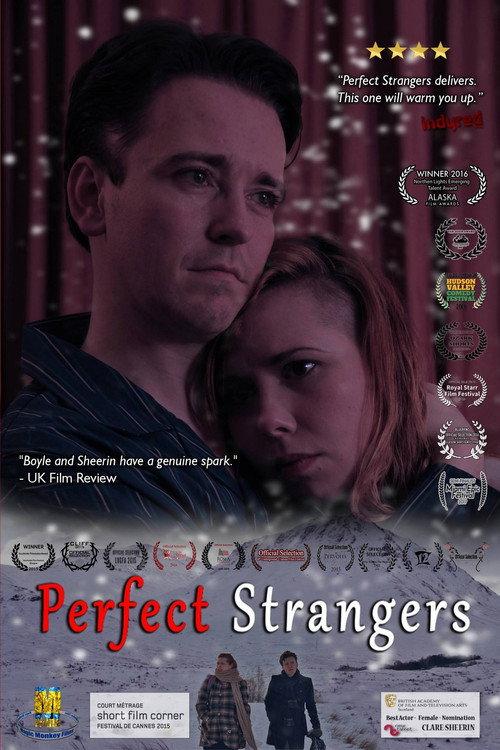 Perfect Strangers 2015 official movie poster
