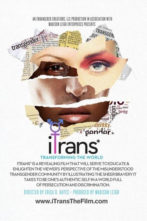 iTrans* 2016 official movie poster