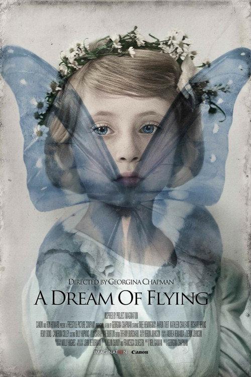 A Dream of Flying 2013 official movie poster