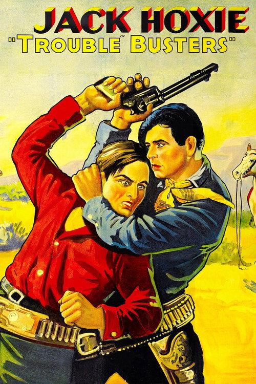 Trouble Busters 1933 official movie poster