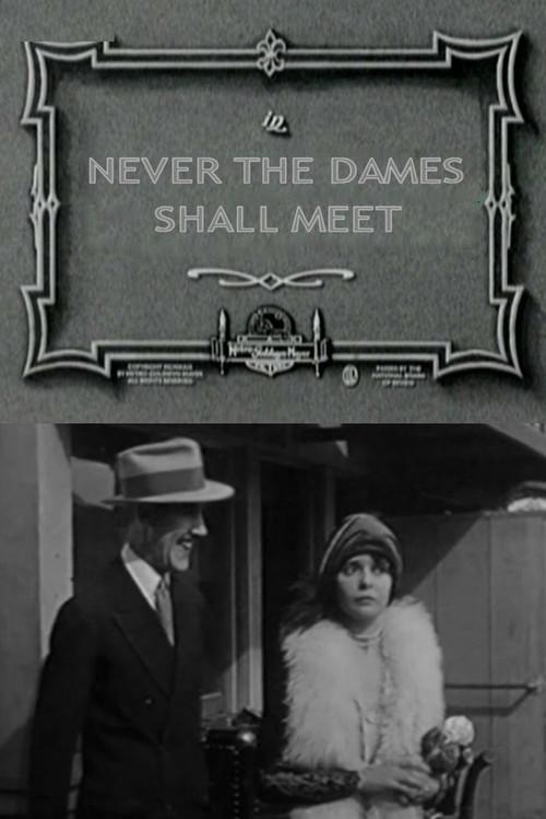 Never the Dames Shall Meet 1927 official movie poster