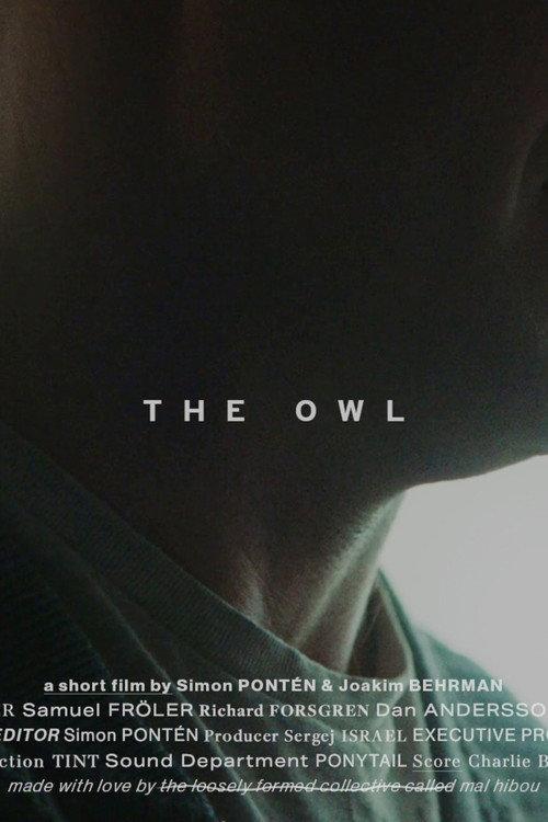 The Owl 2020 official movie poster