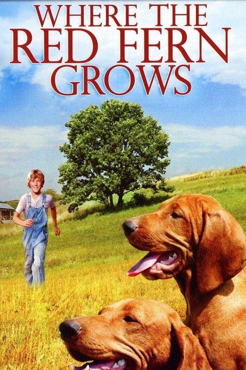 Where the Red Fern Grows 1974 official movie poster