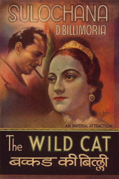 Wildcat of Bombay 1926 official movie poster