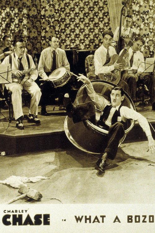 What a Bozo! 1931 official movie poster