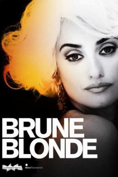 Brunes et Blondes 2010 official movie poster