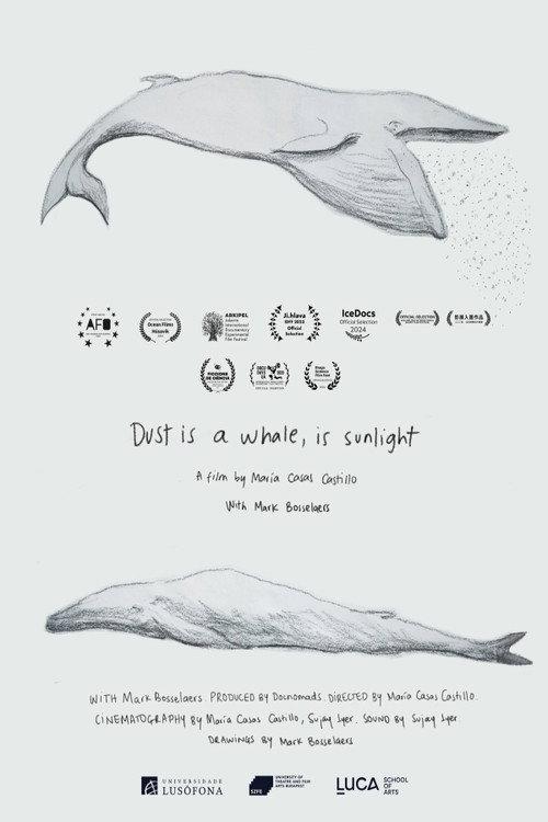 Dust is a Whale, is Sunlight 2023 official movie poster