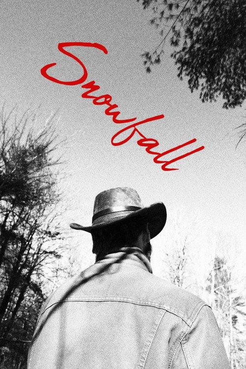 Snowfall 2026 official movie poster