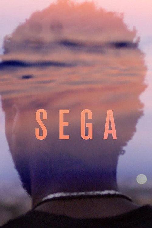 Sega 2019 official movie poster