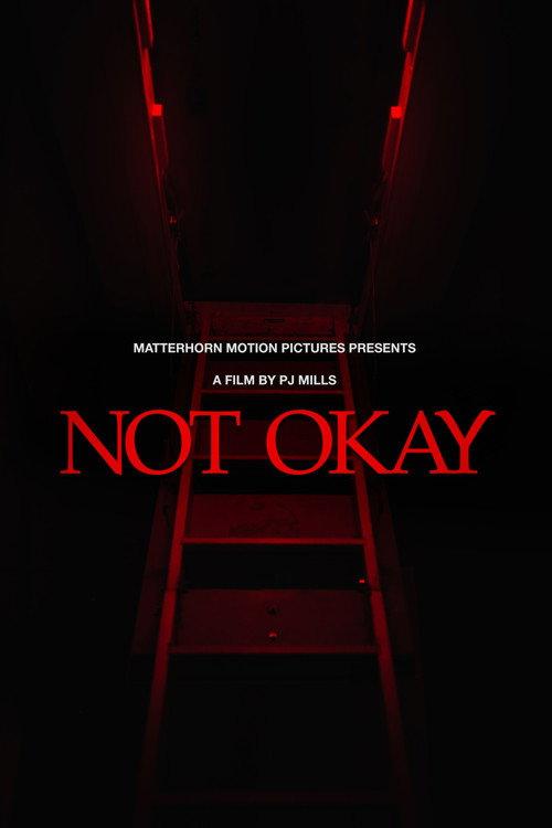 Not Okay 2026 official movie poster