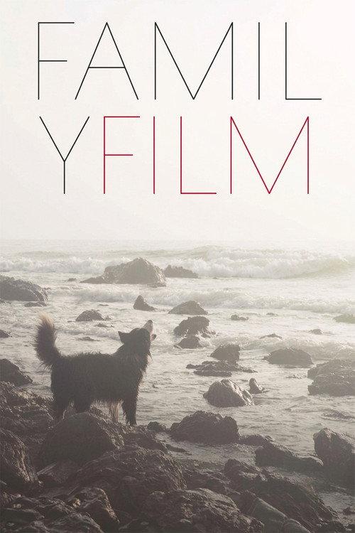 Family Film 2016 official movie poster
