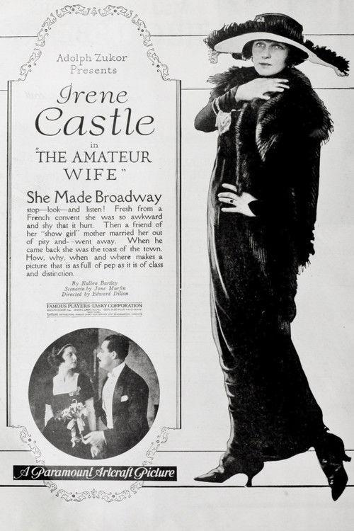 The Amateur Wife 1920 official movie poster