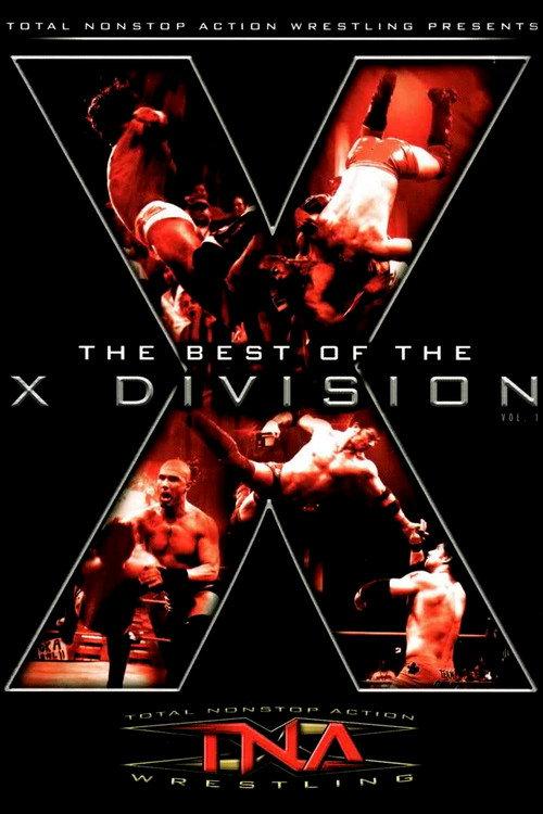 The Best of the X Division Vol. 1 2005 official movie poster