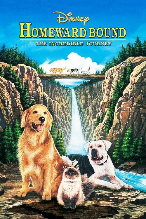 Homeward Bound: The Incredible Journey 1993 official movie poster