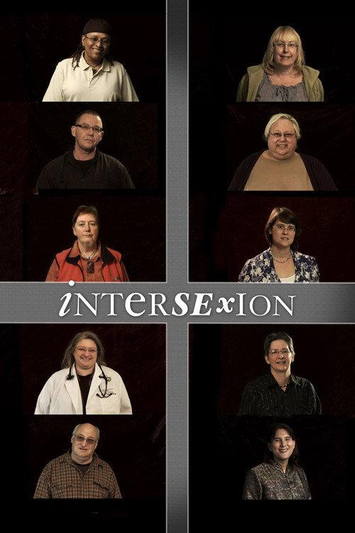 Intersexion 2012 official movie poster