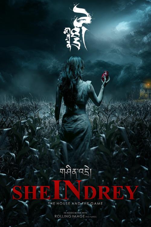 SHEinDREY 2024 official movie poster