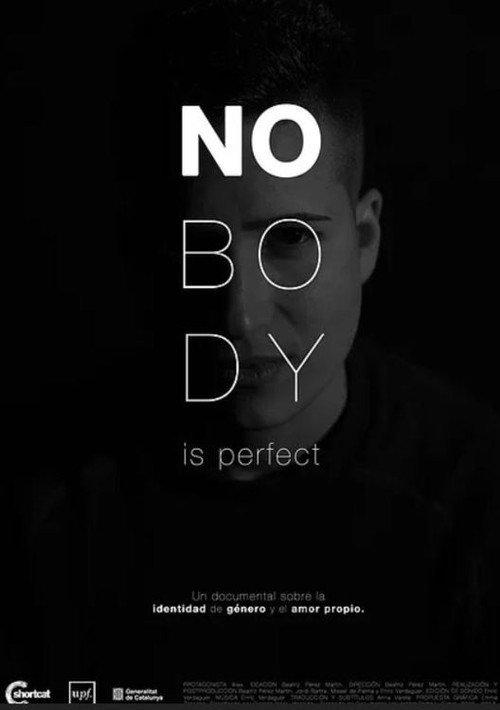Nobody Is Perfect 2018 official movie poster