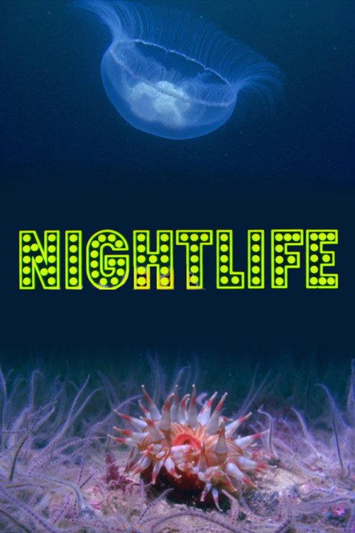 Nightlife 1976 official movie poster