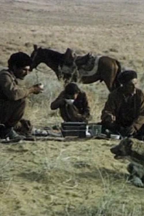 Shepherd's Friend 1972 official movie poster
