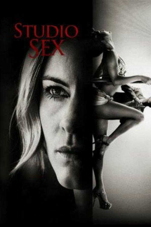 Annika Bengtzon: Crime Reporter - Studio Sex 2012 official movie poster