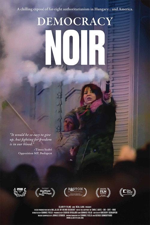 Democracy Noir 2024 official movie poster