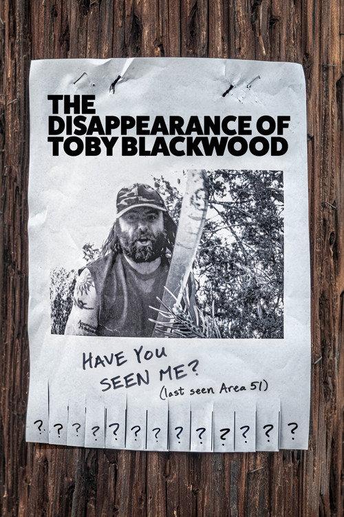 The Disappearance of Toby Blackwood 2021 official movie poster