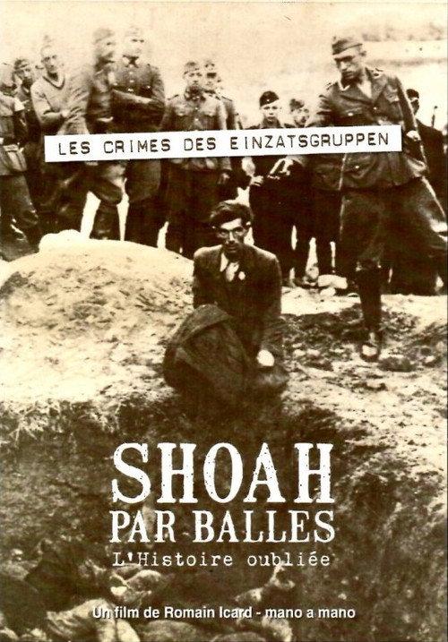 Shoah by Bullet: The Forgotten History 2008 official movie poster