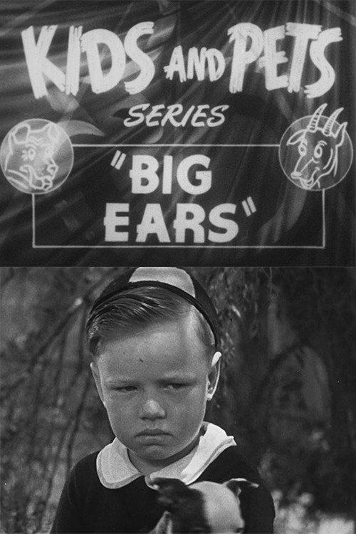 Big Ears 1931 official movie poster