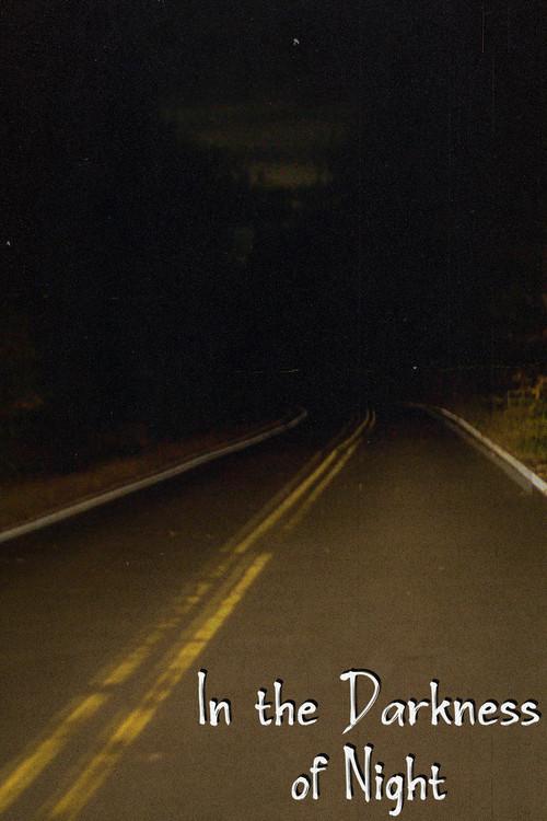 In the Darkness of Night 2024 official movie poster