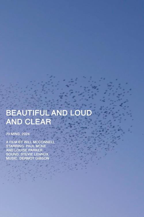 Beautiful and Loud and Clear 2024 official movie poster