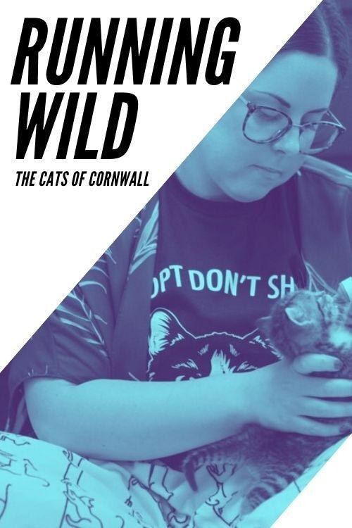 Running Wild: The Cats of Cornwall 2020 official movie poster
