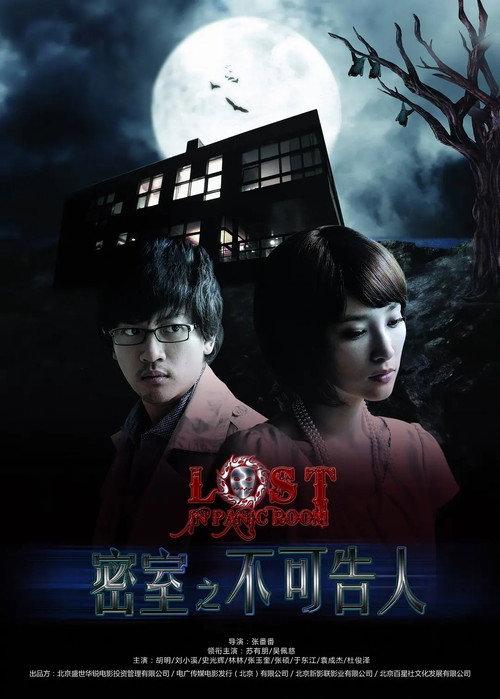 Lost in Panic Room 2010 official movie poster