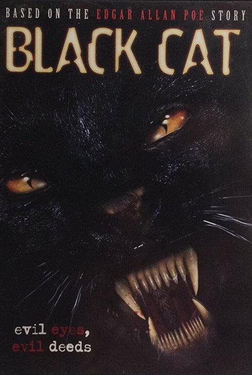 Black Cat 2004 official movie poster