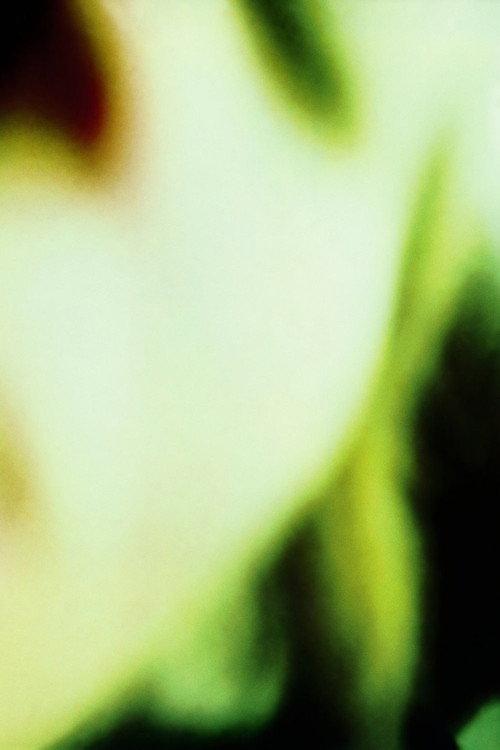 The Smashing Pumpkins: Basement Jam (Pulse Cable Access Show, November 19, 1988) 2012 official movie poster