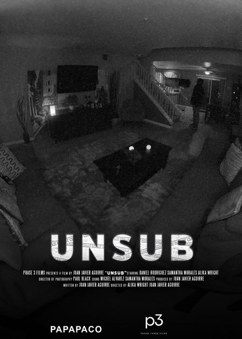UNSUB 2024 official movie poster