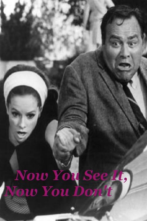 Now You See It, Now You Don't 1968 official movie poster