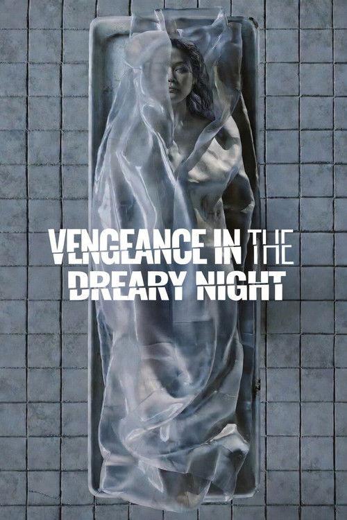 Vengeance in the Dreary Night 2025 official movie poster