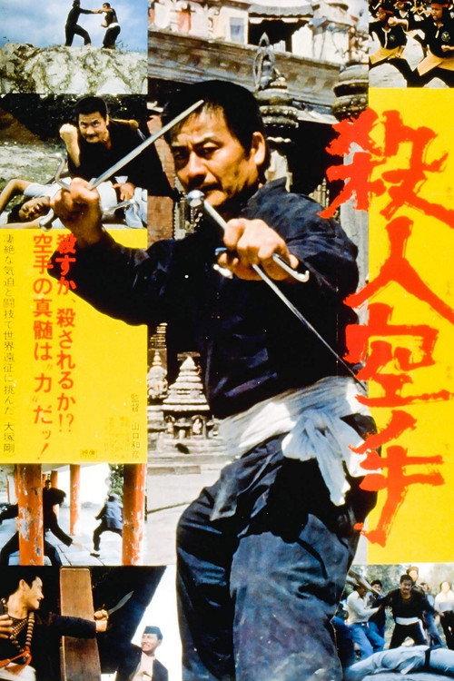 The Karate Professionals 1976 official movie poster