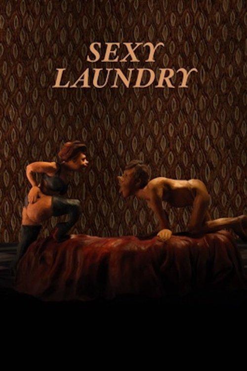 Sexy Laundry 2015 official movie poster