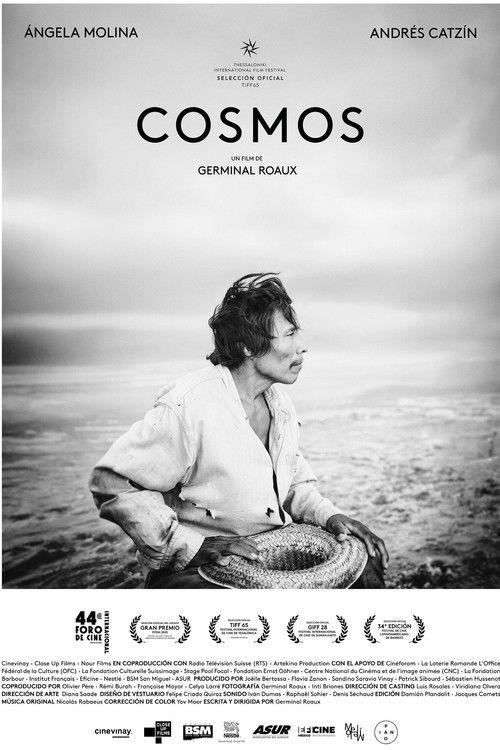 Cosmos 2026 official movie poster
