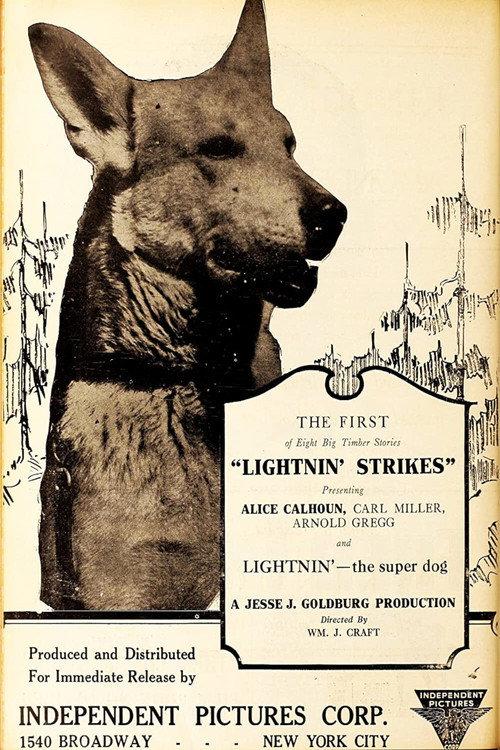 Lightnin' Strikes 1925 official movie poster