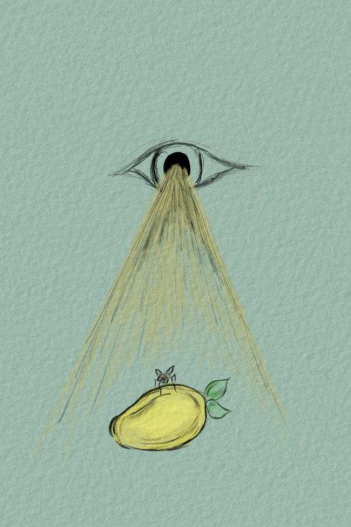 To Be A Fly On Your Mango 2022 official movie poster