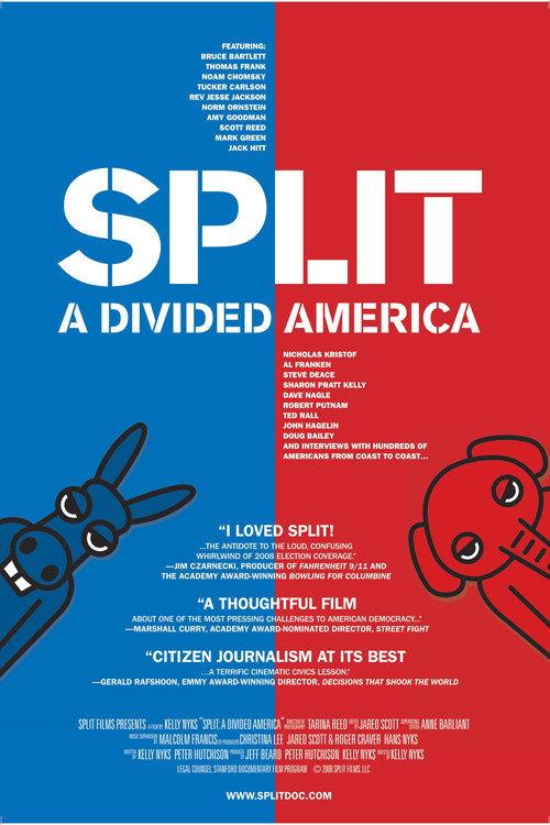Split : A Deeper Divide 2008 official movie poster