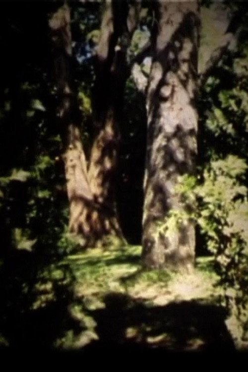 Light Travel 2005 official movie poster